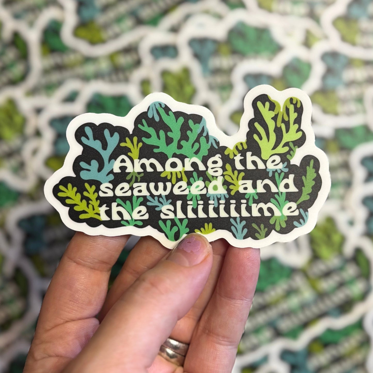 Split Open and Melt Phish Lyrics Sticker